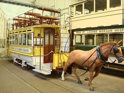 Трамвай желаний... вызывающий желание покататься верхом.